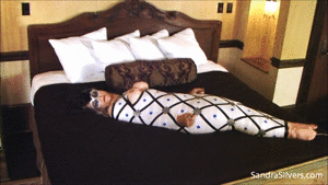 www.sandrasilvers.com - 1022 - Sandra Silvers thumbnail