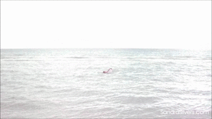 www.sandrasilvers.com - 1064 - Sandra Silvers thumbnail