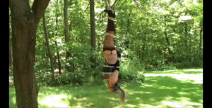 www.sandrasilvers.com - 1133 - Sandra Silvers thumbnail