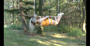 www.sandrasilvers.com -  1166 - Sandra Silvers thumbnail