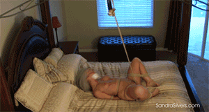 www.sandrasilvers.com - 1305 - Sandra Silvers thumbnail