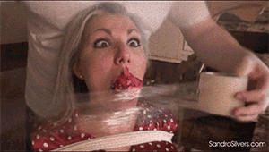 www.sandrasilvers.com - 1390 - Sandra Silvers thumbnail