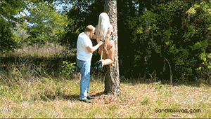 www.sandrasilvers.com - 1728 - Sandra Silvers thumbnail