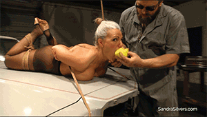 www.sandrasilvers.com - 1746 - Sandra Silvers thumbnail