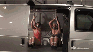 www.sandrasilvers.com - 1770 - Sandra Silvers, AJ Marion & Vandra thumbnail