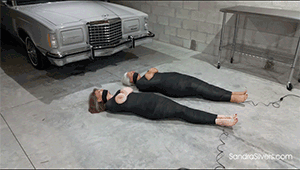 www.sandrasilvers.com - 2020 Sandra Silvers & Darla Crane thumbnail