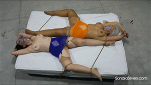 www.sandrasilvers.com - 2064 Sandra Silvers & Christina Sapphire thumbnail