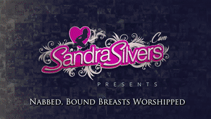www.sandrasilvers.com - 3300 Sandra, Whitney, Lisa & Ami thumbnail