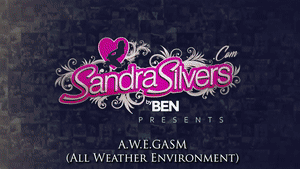www.sandrasilvers.com - 3406 Sandra Silvers & Catherine Sterling thumbnail